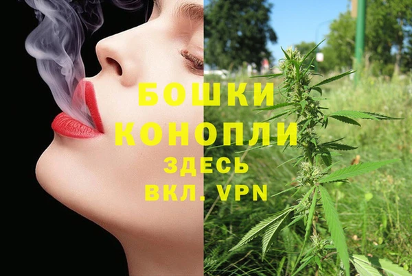 шишки Вяземский