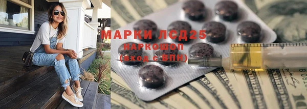 шишки Вяземский